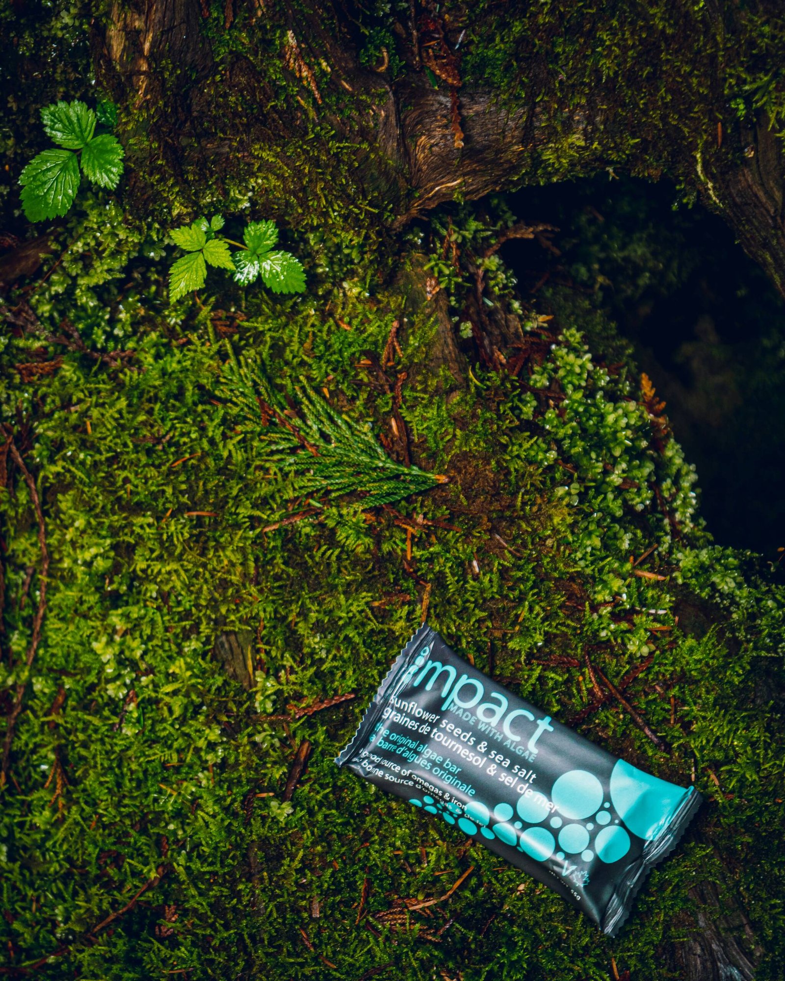 a bar of soap sitting on top of a lush green forest